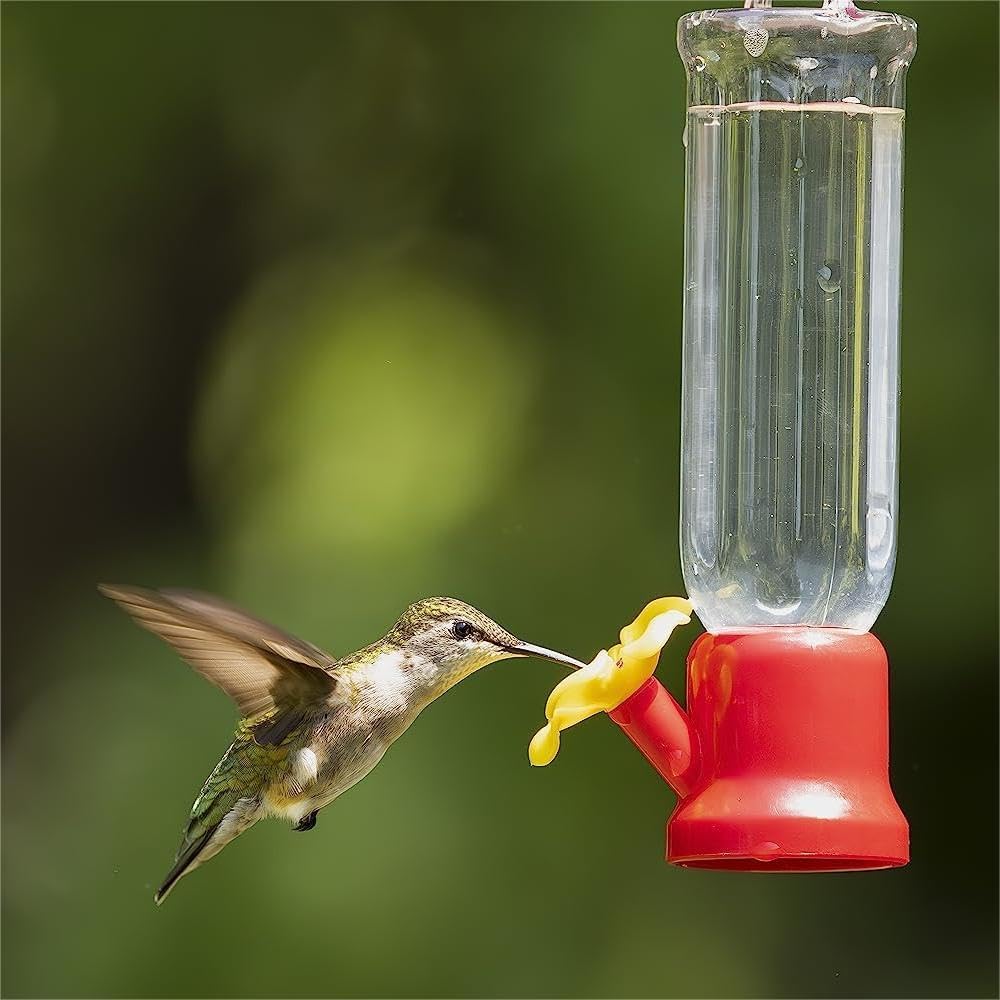 🔥Annual Offer - New Leak-Proof Design Hummingbird Feeder (4 Pack)